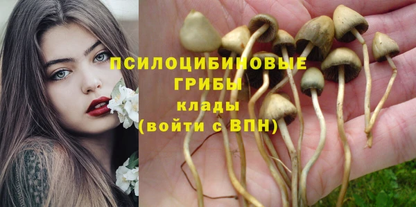 экстази Касимов