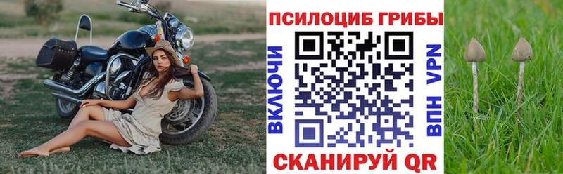 Псилоцибиновые грибы прущие грибы  Купить  Электросталь 